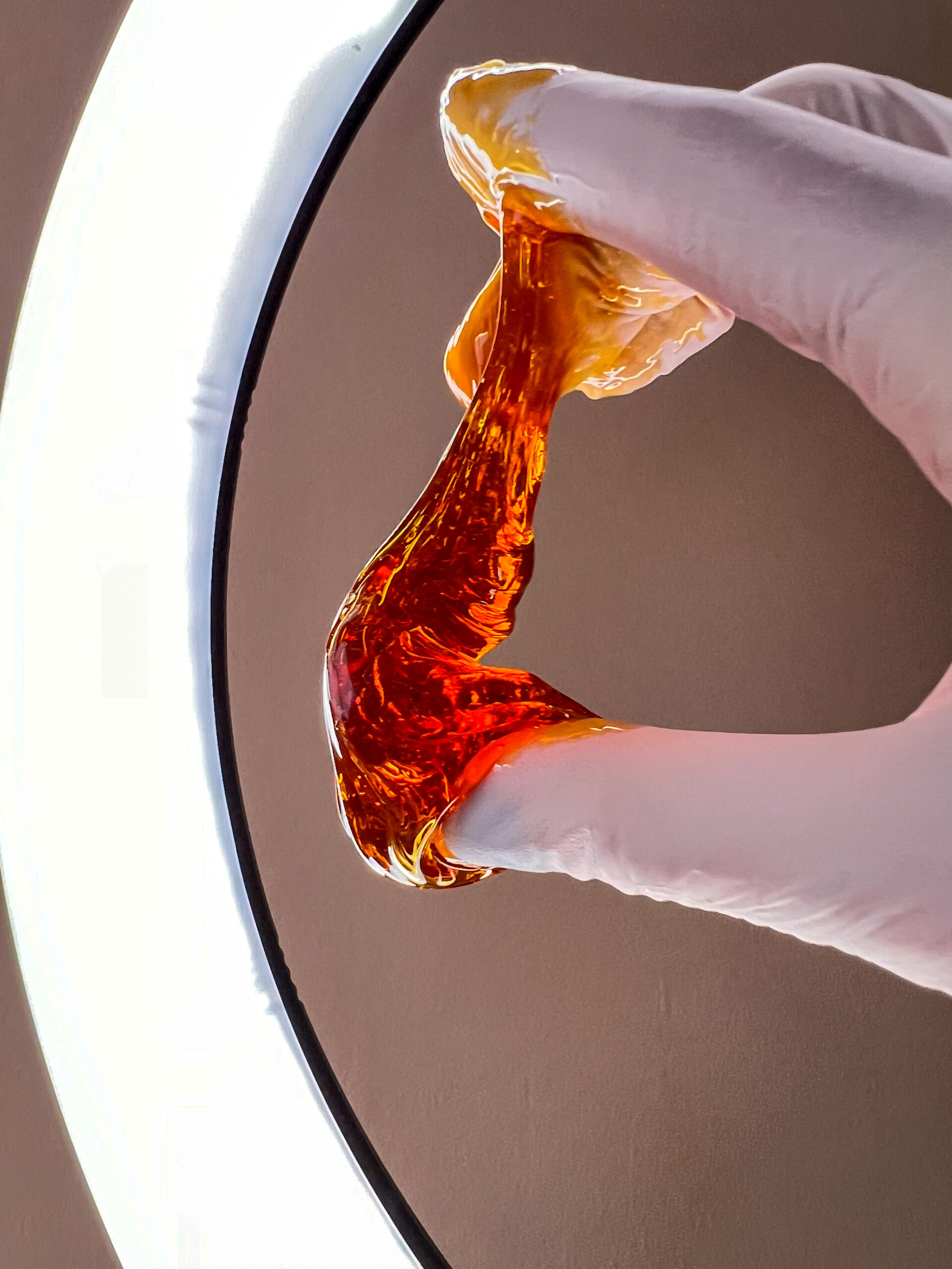 IMG_5311 Šećerna pasta